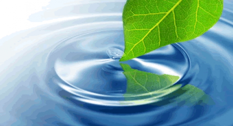 Mindfulness - usmjerena svjesnost