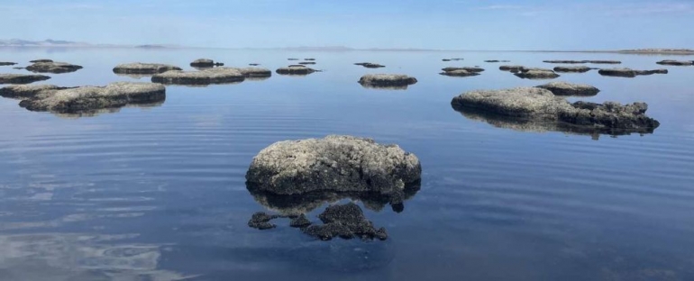 Mikrobne prostirke u Velikom slanom jezeru. (Julie Jung)