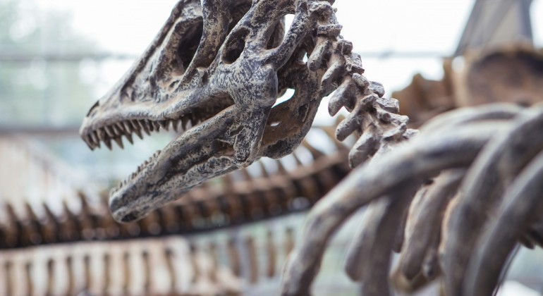 Fosilizirana koža dinosaura otkriva nove detalje o evoluciji perja