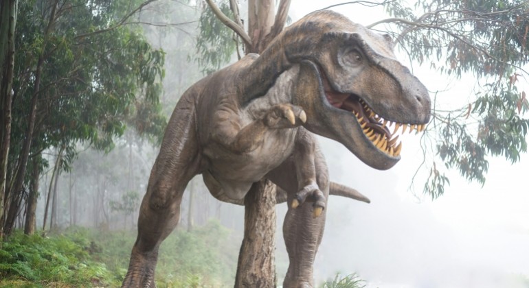 Koliko je T. rex bio inteligentan? Nova analiza spušta ranije procjene